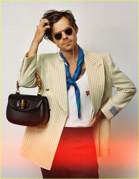 harry styles collab with gucci|Harry Styles Gucci campaign.